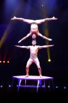 Amsterdam 18 december 2024
Kerstcircus in Carre.