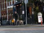 Amsterdam 19 december 2024
Prins maurits en zijn hond doen boodschappen in Amsterdam zuid en ga via het vondelpark naar huis .