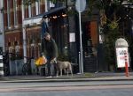 Amsterdam 19 december 2024
Prins maurits en zijn hond doen boodschappen in Amsterdam zuid en ga via het vondelpark naar huis .