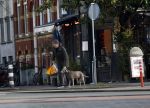 Amsterdam 19 december 2024
Prins maurits en zijn hond doen boodschappen in Amsterdam zuid en ga via het vondelpark naar huis .