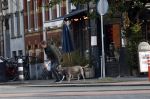 Amsterdam 19 december 2024
Prins maurits en zijn hond doen boodschappen in Amsterdam zuid en ga via het vondelpark naar huis .