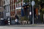 Amsterdam 19 december 2024
Prins maurits en zijn hond doen boodschappen in Amsterdam zuid en ga via het vondelpark naar huis .