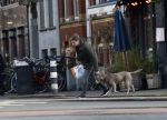 Amsterdam 19 december 2024
Prins maurits en zijn hond doen boodschappen in Amsterdam zuid en ga via het vondelpark naar huis .