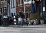 Amsterdam 19 december 2024
Prins maurits en zijn hond doen boodschappen in Amsterdam zuid en ga via het vondelpark naar huis .