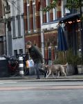 Amsterdam 19 december 2024
Prins maurits en zijn hond doen boodschappen in Amsterdam zuid en ga via het vondelpark naar huis .