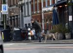 Amsterdam 19 december 2024
Prins maurits en zijn hond doen boodschappen in Amsterdam zuid en ga via het vondelpark naar huis .