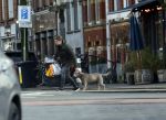 Amsterdam 19 december 2024
Prins maurits en zijn hond doen boodschappen in Amsterdam zuid en ga via het vondelpark naar huis .