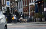 Amsterdam 19 december 2024
Prins maurits en zijn hond doen boodschappen in Amsterdam zuid en ga via het vondelpark naar huis .