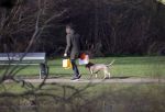 Amsterdam 19 december 2024
Prins maurits en zijn hond doen boodschappen in Amsterdam zuid en ga via het vondelpark naar huis .