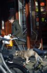 Amsterdam 19 december 2024
Prins maurits en zijn hond doen boodschappen in Amsterdam zuid en ga via het vondelpark naar huis .