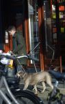 Amsterdam 19 december 2024
Prins maurits en zijn hond doen boodschappen in Amsterdam zuid en ga via het vondelpark naar huis .