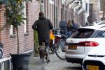 Amsterdam 19 december 2024
Prins maurits en zijn hond doen boodschappen in Amsterdam zuid en ga via het vondelpark naar huis .