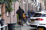 Amsterdam 19 december 2024
Prins maurits en zijn hond doen boodschappen in Amsterdam zuid en ga via het vondelpark naar huis .