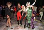 Rotterdam,  29 januari 1999
Fildagen met op de foto een aantal travestieten