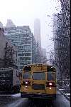 New York 22 januari 2000
School Bus