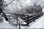 Amsterdam 30 januari 2003
Amsterdam bij Sneeuw Winter Grachten
Winters tafreel
Fiets