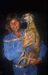 Martin Gaus met hazewindhond