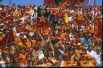 Munchen, 25 juni 1988 Finale Europees Kampioenschap 1988 Duitslan-Nederland 1-2
Supporters Nederlands elftal met vlaggen