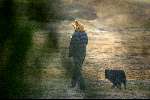 Hilversum 18 januari 2003
Wendy v Dijk wandelend met hond op de heide
Veel problemen met Xander de Buisonje