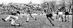 Rotterdam, 22 november 1981
SPARTA-PSV , eindstand 0-2
De oude en nieuwe bondscoaches in akties Louis v Gaal en Dick Advocaat ( geschreven 6 april 2002 )met in het midden Adri v Kraaij, Piet wildschut en michel Valke