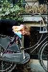 Amsterdam 5 januari 2004
Prinses Margaritha  bij haar advocaat in Amsterdam