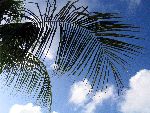 4 Januari 2005 Strand  Bonaire