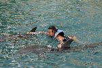 Curacao 6 januari 2006
Benno de Leeuw met dolfijnen zwemmen  op curacao