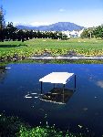 Marbella 1 Januari 2006
Buggy in het Water bij golfbaan