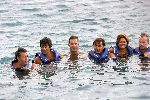 Curacao 6 januari 2006
Gerard Joling met dolfijnen zwemmen  op curacao