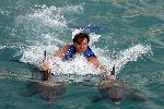 Curacao 6 januari 2006
 Gerard Joling met dolfijnen zwemmen  op curacao