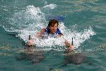Curacao 6 januari 2006
 Gerard Joling met dolfijnen zwemmen  op curacao