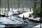 Wassenaar 5 januari 2003
Verbouwing landgoed de horsten
