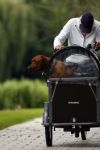 Amsterdam 10 juli 2007
Edwin de Roy v Zuydewijn met hond in bakfiets verbergt zich achter pet.