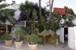 Ibiza 6 juli 2007
Diner aan de vooravond van het huwelijk van Yfke Sturm en haar vriend Ismar in Restaurant Ayoun