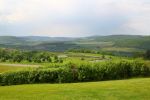 Praag, Golf Perstrip NVGJ naat Tjechie
Golfbaan Karlstejn Tjechie
Foto Peter Smulders BV
