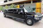 Rotterdam 27 mei 2010
Trouwen Royston Drenthe in rotterdam met Daisy. Hummer limo
Peter Smulders bv