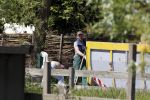 Uitdam 19 mei 2010
Katja Schuurman en Thijs Romer laten door poolse werklui hun tuin aanleggen
Peter Smulders bv