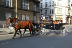Praag, Golf Perstrip NVGJ naat Tjechie

Foto Peter Smulders BV