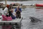 2-7-2011 Harderwijk Dolfinarium-Spetter