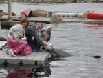 2-7-2011 Harderwijk Dolfinarium-Spetter