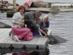 2-7-2011 Harderwijk Dolfinarium-Spetter