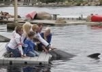 2-7-2011 Harderwijk Dolfinarium-Spetter