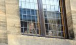 Amsterdam, 29 April 2013
Prinses Amalia, Prinses Alexia en Prinses Ariane achter de ramen van Paleis op de Dam
Foto Peter Smulders BV
