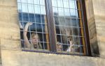 Amsterdam, 29 April 2013
Prinses Amalia, Prinses Alexia en Prinses Ariane achter de ramen van Paleis op de Dam
Foto Peter Smulders BV