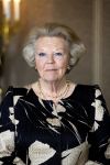 Amsterdam 18 juni 2013
Uitreiking zilveren anjers door prinses Beatrix in het paleis op de dam.
Peter Smulders bv