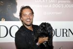 Amsterdam 12 juni 2019
Premiere a dogs Journey by Lucky Smit.
Bas Smit Anouk Smulders en Rosanna Kluivert zijn aanwezig met hun honden.