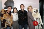 Amsterdam 12 juni 2019
Premiere a dogs Journey by Lucky Smit.
Bas Smit Anouk Smulders en Rosanna Kluivert zijn aanwezig met hun honden. Nino Wilkes