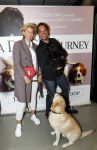 Amsterdam 12 juni 2019
Premiere a dogs Journey by Lucky Smit.
Bas Smit Anouk Smulders en Rosanna Kluivert zijn aanwezig met hun honden.