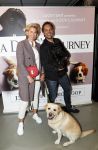 Amsterdam 12 juni 2019
Premiere a dogs Journey by Lucky Smit.
Bas Smit Anouk Smulders en Rosanna Kluivert zijn aanwezig met hun honden.