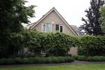 Diemen 15 juni 2019
Huis Danny Blind